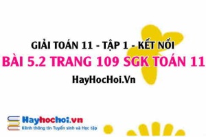 Giải bài 5.2 trang 109 Toán 11 tập 1 SGK Kết nối tri thức